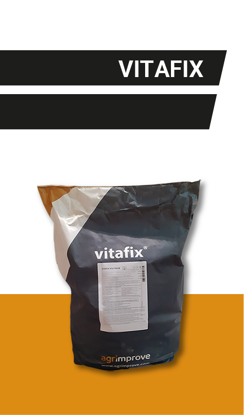 VitaFix-mykotoksiinieliminaattori